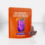 The-Dopest-Genetics-Indoor-Purple-Punch-Indica-Flower